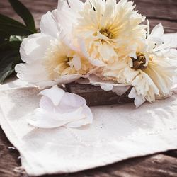 Close-up of white flowers