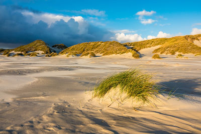 Scenic view of beach against sky