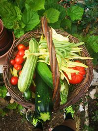 Fresh vegetables in basket