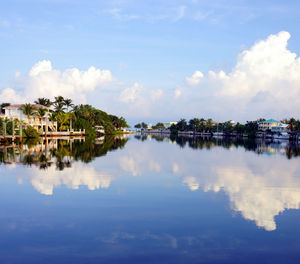 Reflection of sky and palm trees on water