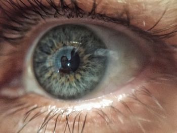 Close-up of human eye
