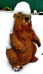 Close-up of horse on snow during winter