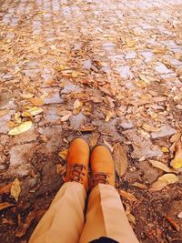 Low section of woman standing on autumn leaves