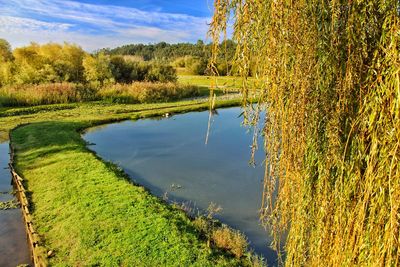 Scenic view of lake against sky