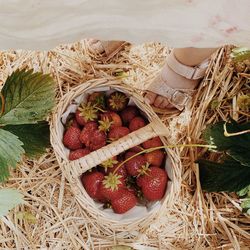 High angle view of strawberries in basket