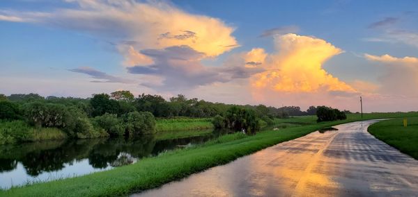 Panoramic view of road by trees against sky