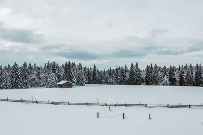 Wooden hut in a forest with snow covered trees in the alps, germany.