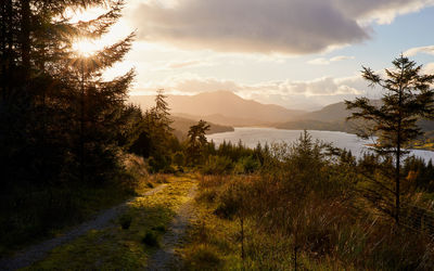 Scenic view of landscape against sky during sunset