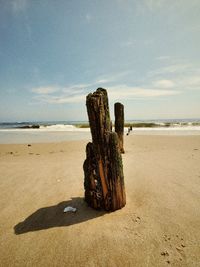 Driftwood on beach by sea against sky