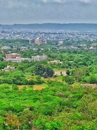 High angle view of trees and buildings