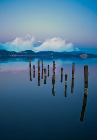 Wooden posts in sea against sky