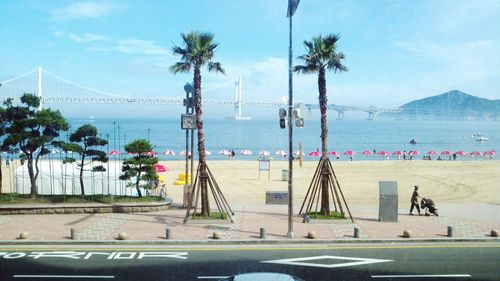 Palm trees at beach against sky