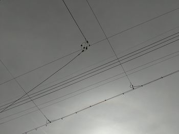 Low angle view of birds flying against sky