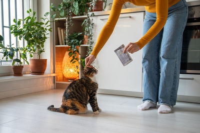 Tenderly loving pet owner treating adorable fluffy cat with favourite tasty delicacy food in pouch