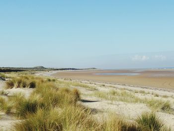 Scenic view of beach against clear sky