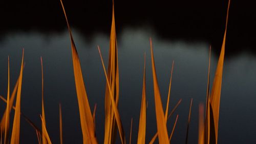 Low angle view of water against sky at night