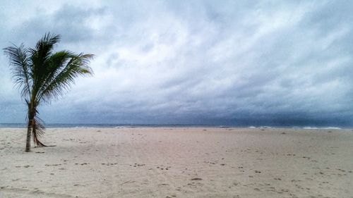 Scenic view of beach against cloudy sky