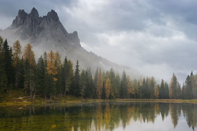 Scenic view of lake by trees against sky