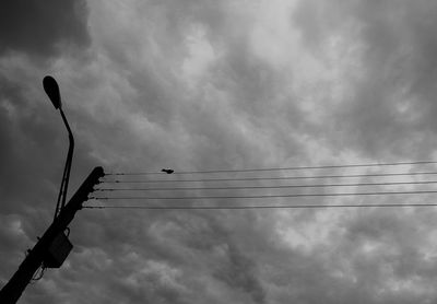 Low angle view of birds perching on power line against cloudy sky