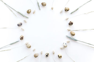 High angle view of decoration on white table