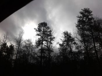 Low angle view of silhouette trees against sky