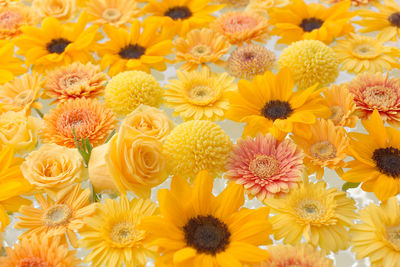 Yellow gerbera and roses floating on water