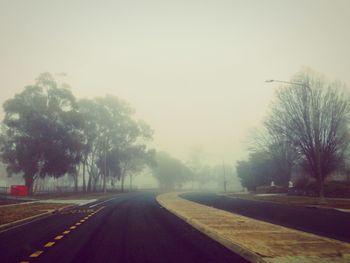 Country road along trees