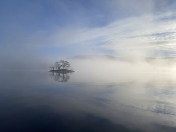 Lone tree island rises out of the mist