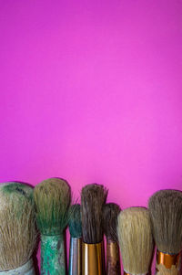 Close-up of various flowers against colored background