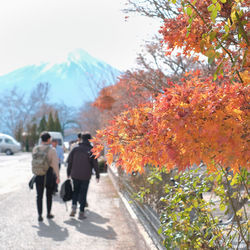 Rear view of people walking on street during autumn