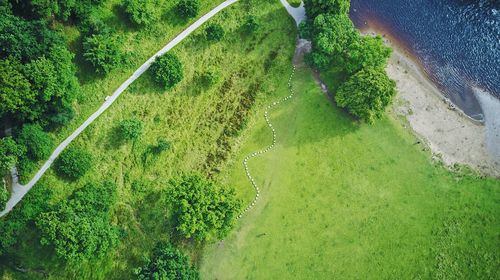 High angle view of trees growing on field