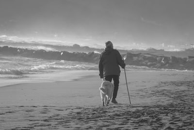 Rear view of man standing on beach against sky