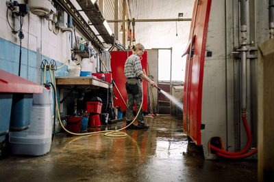 Farmer holding pipe and cleaning floor with water at cattle farm