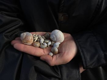 Midsection of person holding seashells in hand