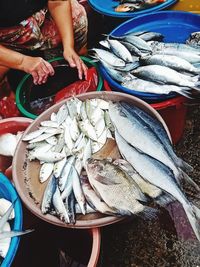 High angle view of fish for sale in market