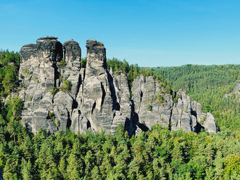 Plants growing on rocks against clear sky