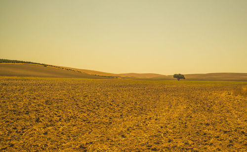 Scenic view of rural landscape