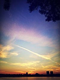 Silhouette of trees at sunset