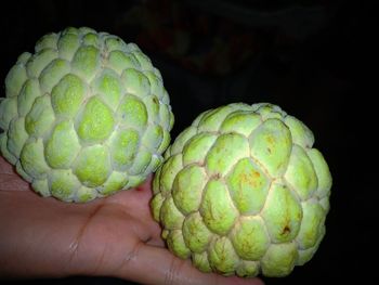 Close-up of hand holding fruit