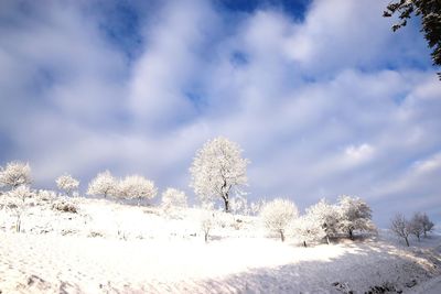 Scenic view of landscape against cloudy sky