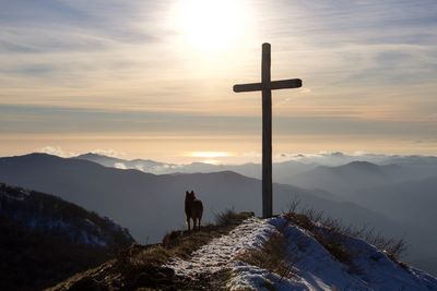 Silhouette dog on snow covered mountains against sky during sunset