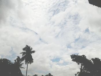 Low angle view of trees against cloudy sky