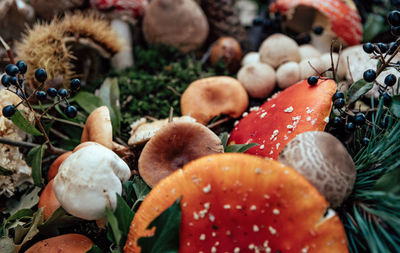 Close-up selective focus photo of various mushrooms and autumn forest foods