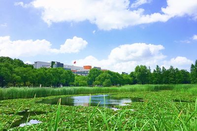 Scenic view of landscape against sky