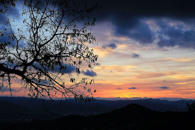 Silhouette of tree against dramatic sky