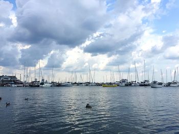 Sailboats in sea against sky