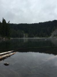 Reflection of trees in calm lake