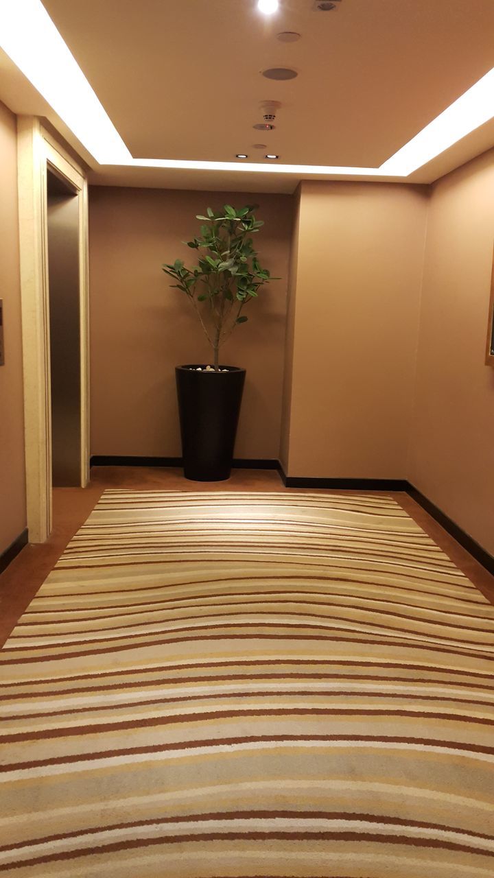 INTERIOR OF EMPTY ROOM WITH POTTED PLANTS