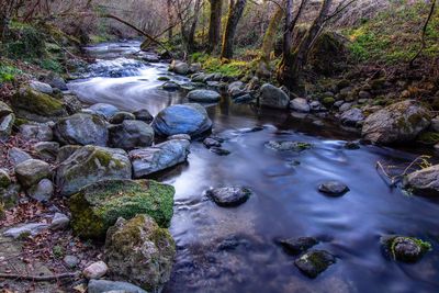 Stream flowing through rocks in forest