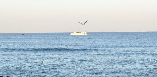 Scenic view of sea against clear sky
